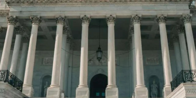 Washington D.C. Walking Tour of the National Mall - Image 3