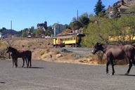 Virginia City Train Ride Day Trip from Lake Tahoe thumbnail 5