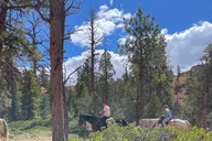 Bryce Canyon Horseback Adventure 6 hr thumbnail 3