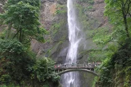 Portland Vistas, Falls & Gardens Tour thumbnail 3