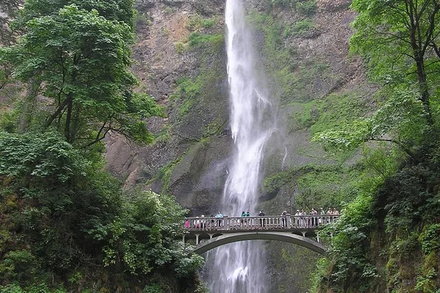 Portland Vistas, Falls & Gardens Tour - Image 3