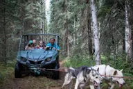 Fairbanks Mushing Cart Ride and Kennel Tour thumbnail 5