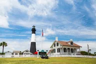 Savannah Tybee Island Dolphin Cruise thumbnail 1