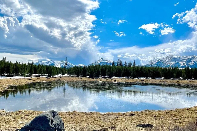 Yellowstone National Park E-Bike Tour - Image 4
