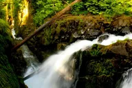 Seattle Olympic National Park Day Tour thumbnail 4