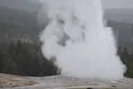 Yellowstone Wildlife Tour from West Yellowstone thumbnail 5