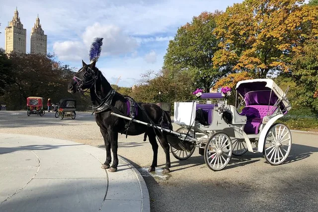 New York Central Park Horse Carriage Ride - Image 1