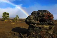 Hawaii Volcanoes National Park Eco Tour thumbnail 4