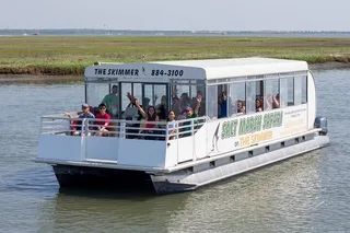 Cape May Birding and Wildlife Cruise