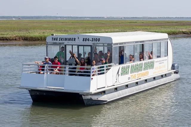 Cape May Birding and Wildlife Cruise - Image 1