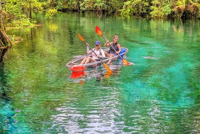 Silver Springs Jungle Kayaking and Paddleboarding - Image 5