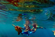 Wailea Beach Sea Scooter Snorkeling Tour thumbnail 4