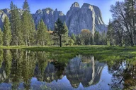 Yosemite National Park One-Way Bus Tour thumbnail 3