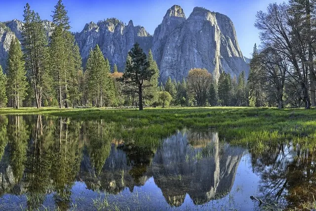 Yosemite National Park One-Way Bus Tour - Image 3