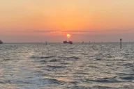 Fort Myers Beach Dolphin Cruise at Sunset thumbnail 3