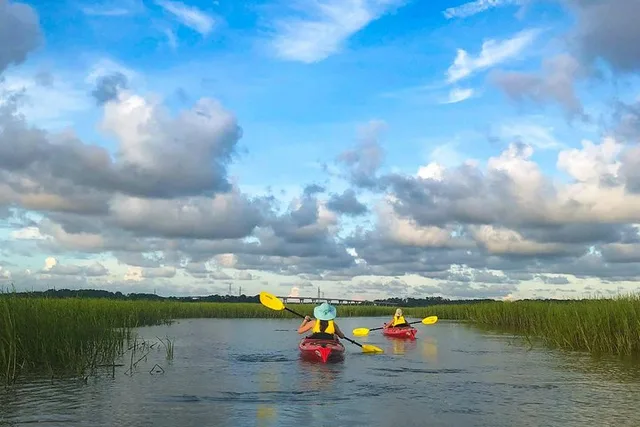 Hilton Head Guided Kayak Nature Tour 2 hr - Image 5
