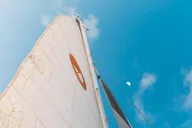 Lahaina Golden Hour Sail and Whale Watch thumbnail 6