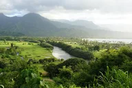 Kauai East Side and North Shore Guided Tour thumbnail 3