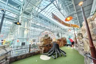 Bloomington Moose Mountain Adventure Golf thumbnail 4