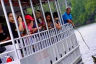 New Orleans Swamp Tour on Pontoon Boat thumbnail 5