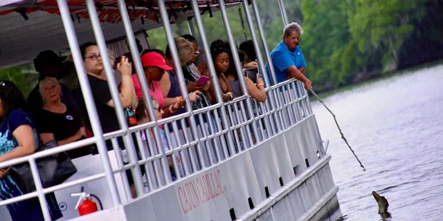 New Orleans Swamp Tour on Pontoon Boat - Image 5