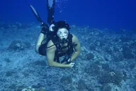 Hilo Introductory Scuba Dive thumbnail 5