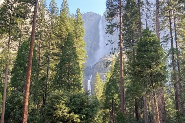 Los Angeles to San Francisco and Yosemite Tour - Image 4