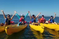 Sarasota Kayak Paddling Experience thumbnail 3