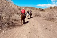 Laughlin Horseback Riding with Scenic Views thumbnail 4