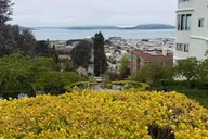 San Francisco Muir Woods and Sausalito Tour thumbnail 5