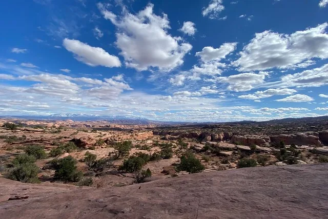 Moab Mountain Bike Tour Half Day - Image 6
