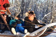 Fairbanks Dog Sledding and Mushing Experience thumbnail 6