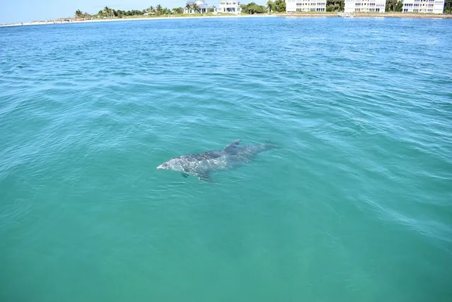 Fort Myers Tiki Boat Beach Tour - Image 4