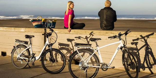 San Francisco Golden Gate Park Self-Guided Bike Tour - Image 4