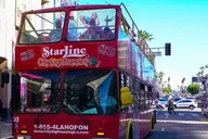 Los Angeles City Sightseeing Hop-On Hop-Off Bus Tour thumbnail 5