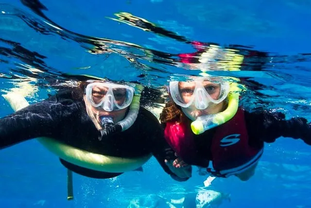 Maui Snorkel Adventure with Turtle Arches - 5 hr - Image 2