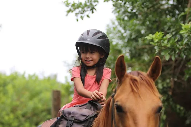 Laie Pony Rides for Kids 30 Min - Image 6
