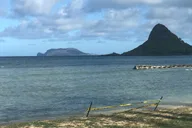 Waikiki North Shore Private Tour thumbnail 6