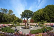 New York City Central Park Walking Tour thumbnail 1