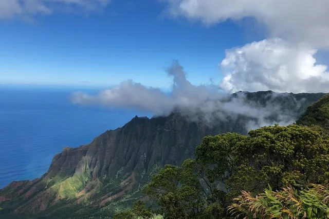 Kauai Waimea Canyon and Waterfall Day Tour - Image 5
