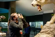 Los Angeles La Brea Tar Pits Museum Ticket thumbnail 4