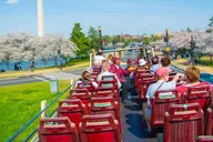 Washington DC Hop-on Hop-off Bus & Sunset Tour thumbnail 2