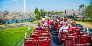 Washington DC Hop-On Hop-Off Bus Tour