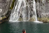 Seward Fjord Glacier & Wildlife Tour 8 hr thumbnail 6