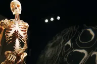 Las Vegas Bodies Exhibition at the Luxor 1 hr thumbnail 1