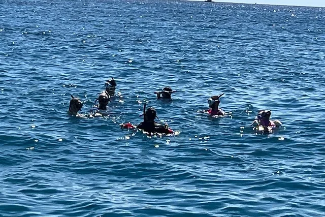 Waikiki Snorkel Charter 3.5 hr - Image 2