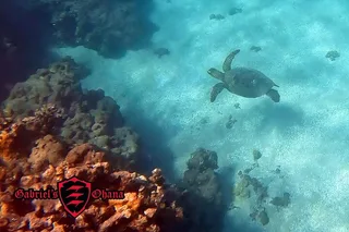 Maui Clear Kayak Tour with Pontoons and Snorkeling