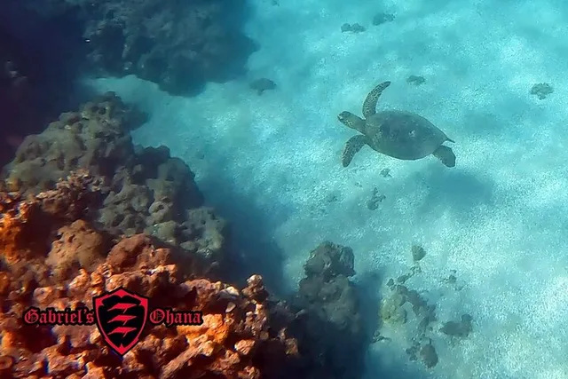 Maui Clear Kayak Tour with Pontoons and Snorkeling - Image 1