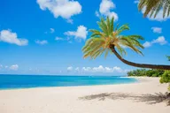 Oahu Circle Island Tour thumbnail 1