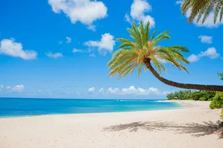 Oahu Circle Island Tour